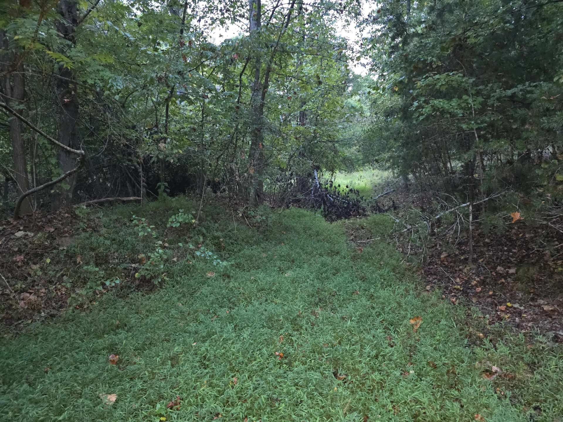0 Rocky Ford RD - Photo 2