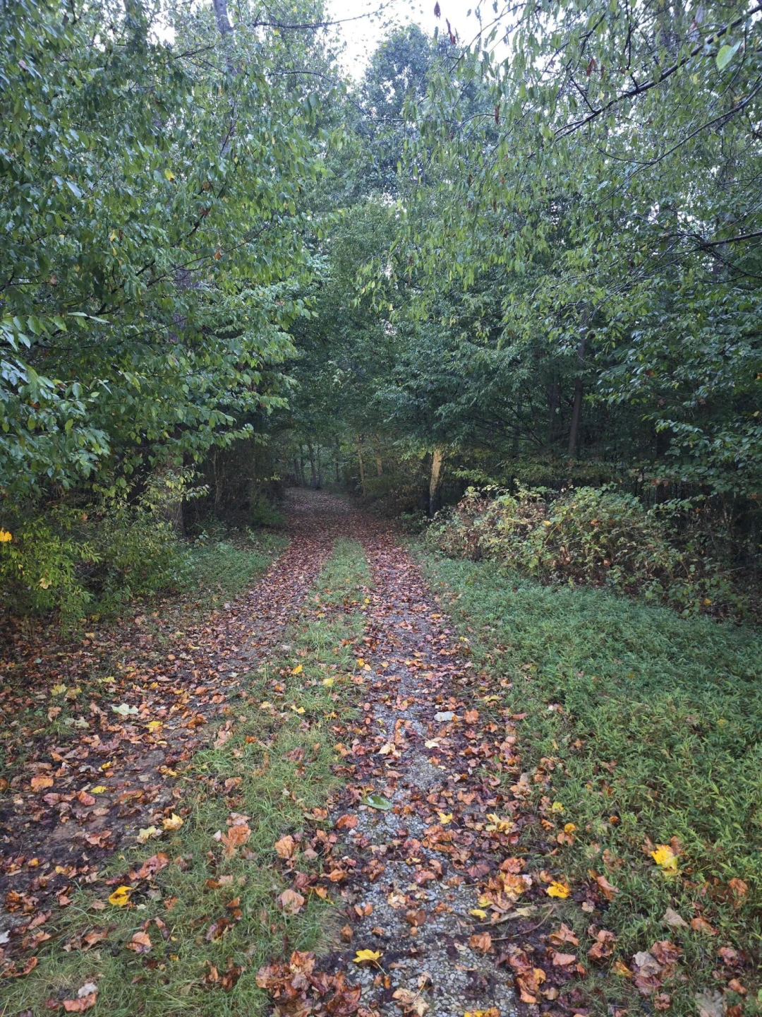 0 Rocky Ford RD - Photo 4