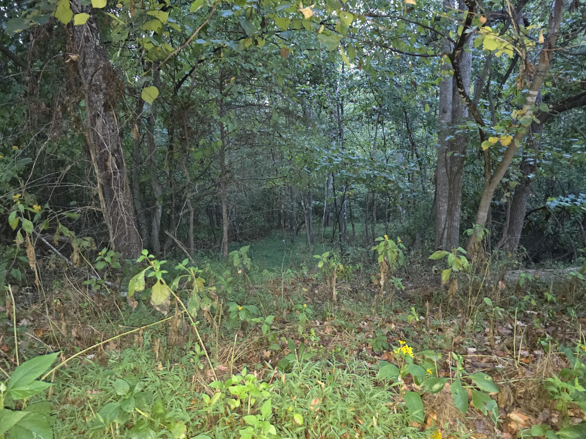 0 Rocky Ford RD - Photo 5