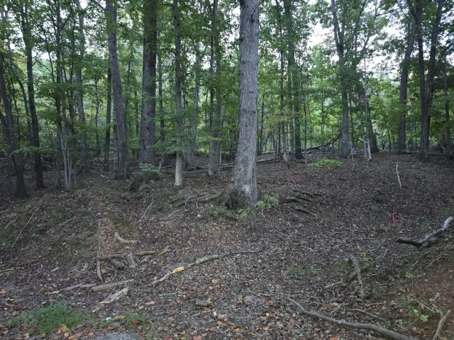 0 Pilot Mountain RD, Moneta, VA, 24121