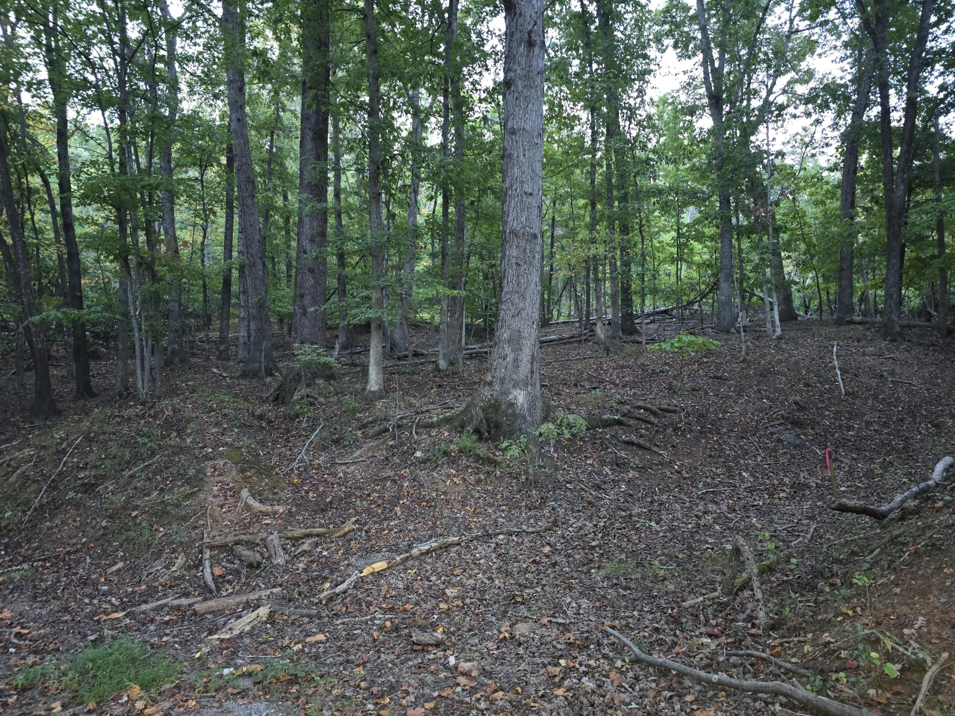 0 Pilot Mountain RD