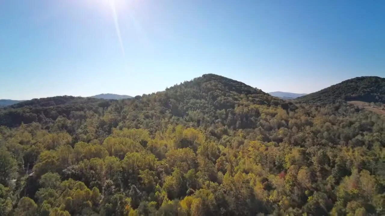 0 Pilot Mountain RD - Photo 2