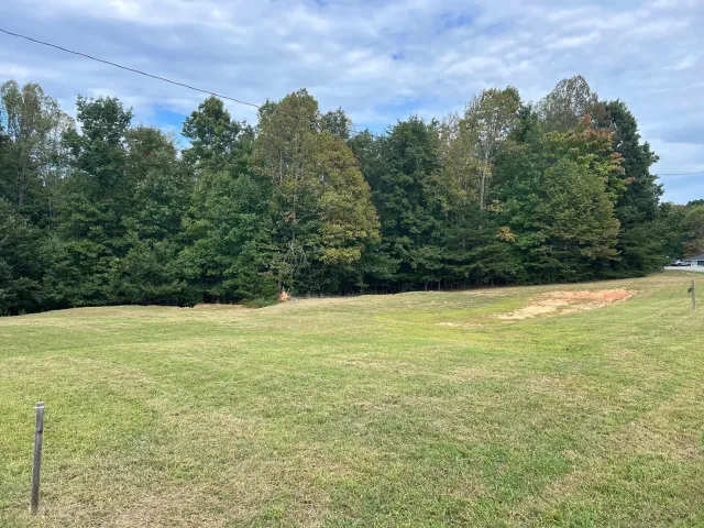 Tract 1-AB Lakewood Forest RD, Moneta, VA, 24121