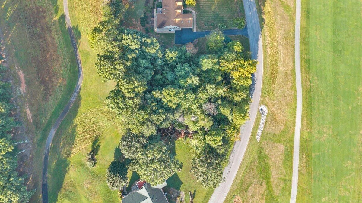 Lot 33 Whitetail DR - Photo 5