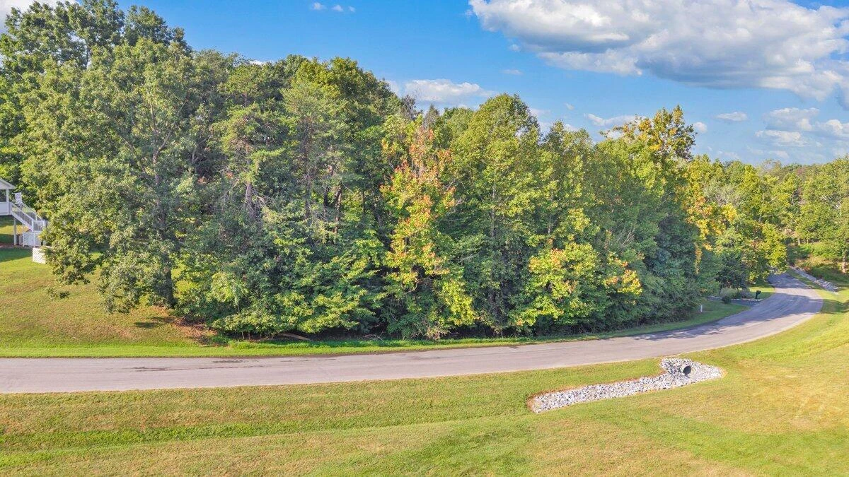 Lot 33 Whitetail DR - Photo 7