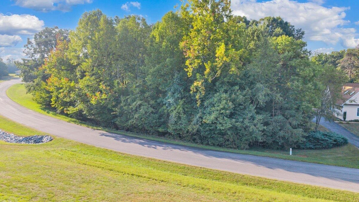 Lot 33 Whitetail DR - Photo 10