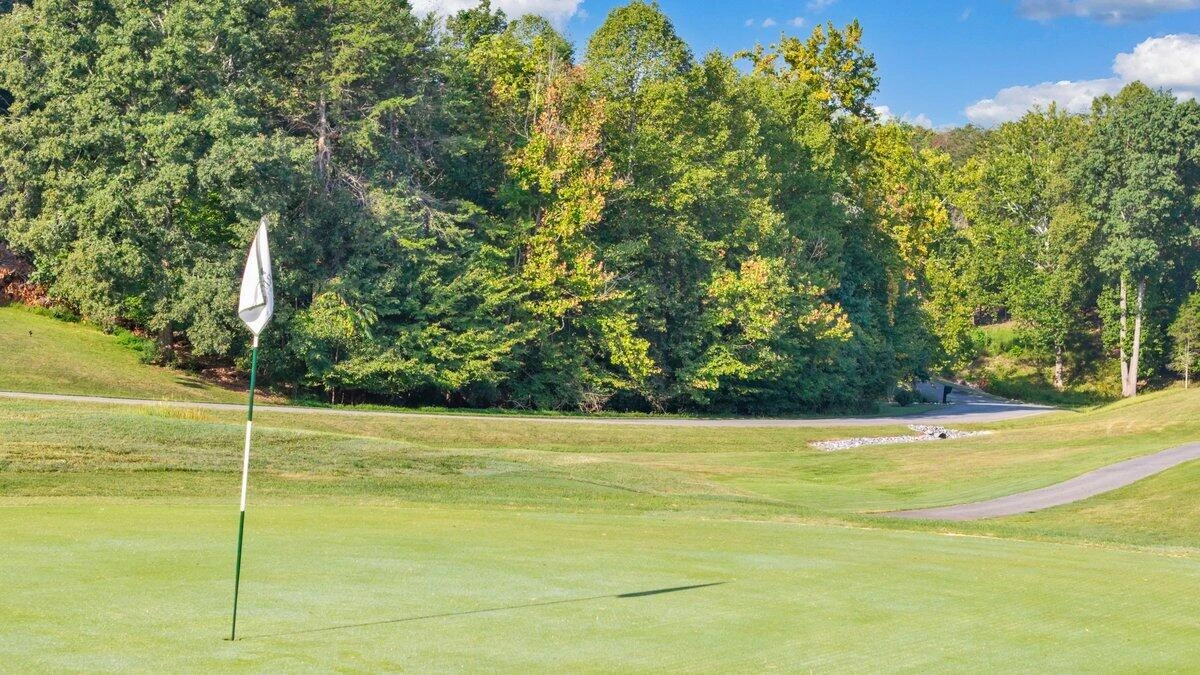Lot 33 Whitetail DR - Photo 11