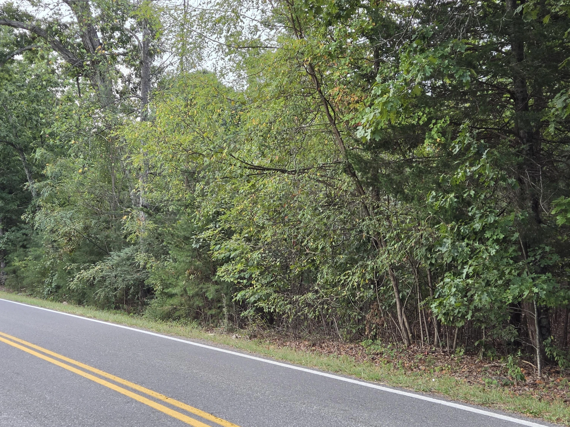 Tract 3 Edwardsville RD - Photo 2