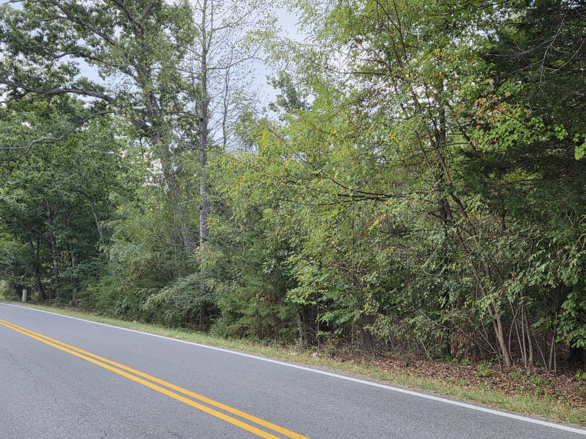 Tract 3 Edwardsville RD - Photo 3