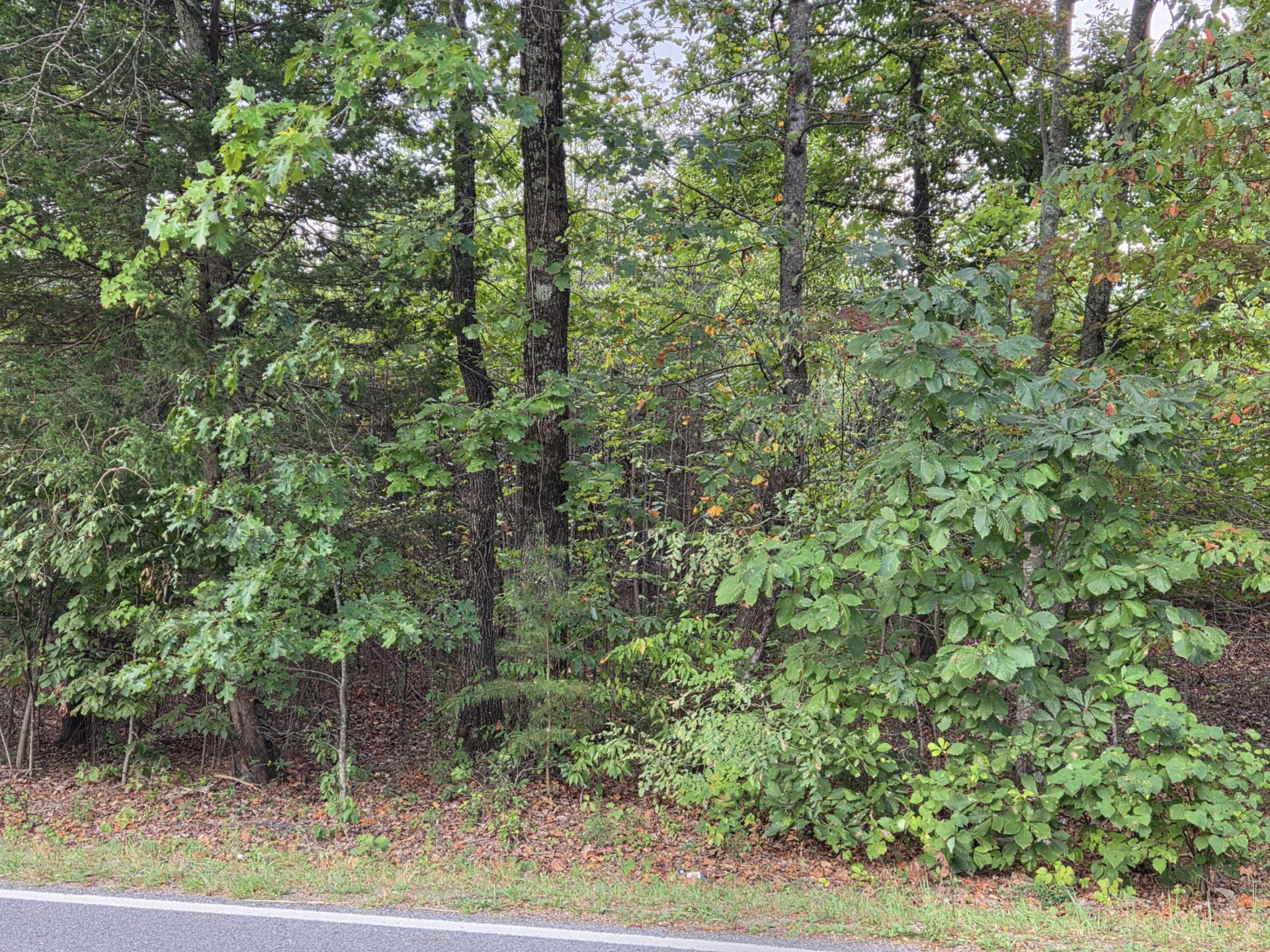 Tract 3 Edwardsville RD - Photo 4