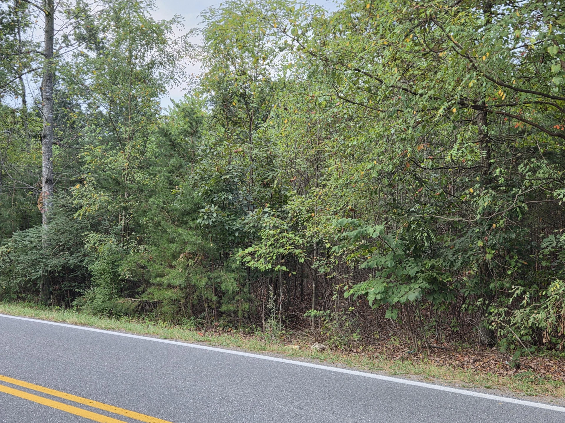 Tract 3 Edwardsville RD - Photo 5