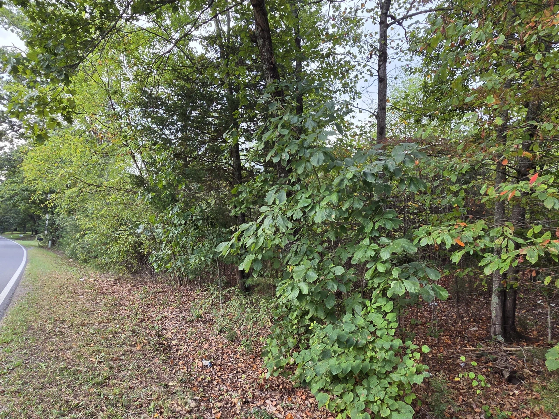 Tract 3 Edwardsville RD - Photo 6