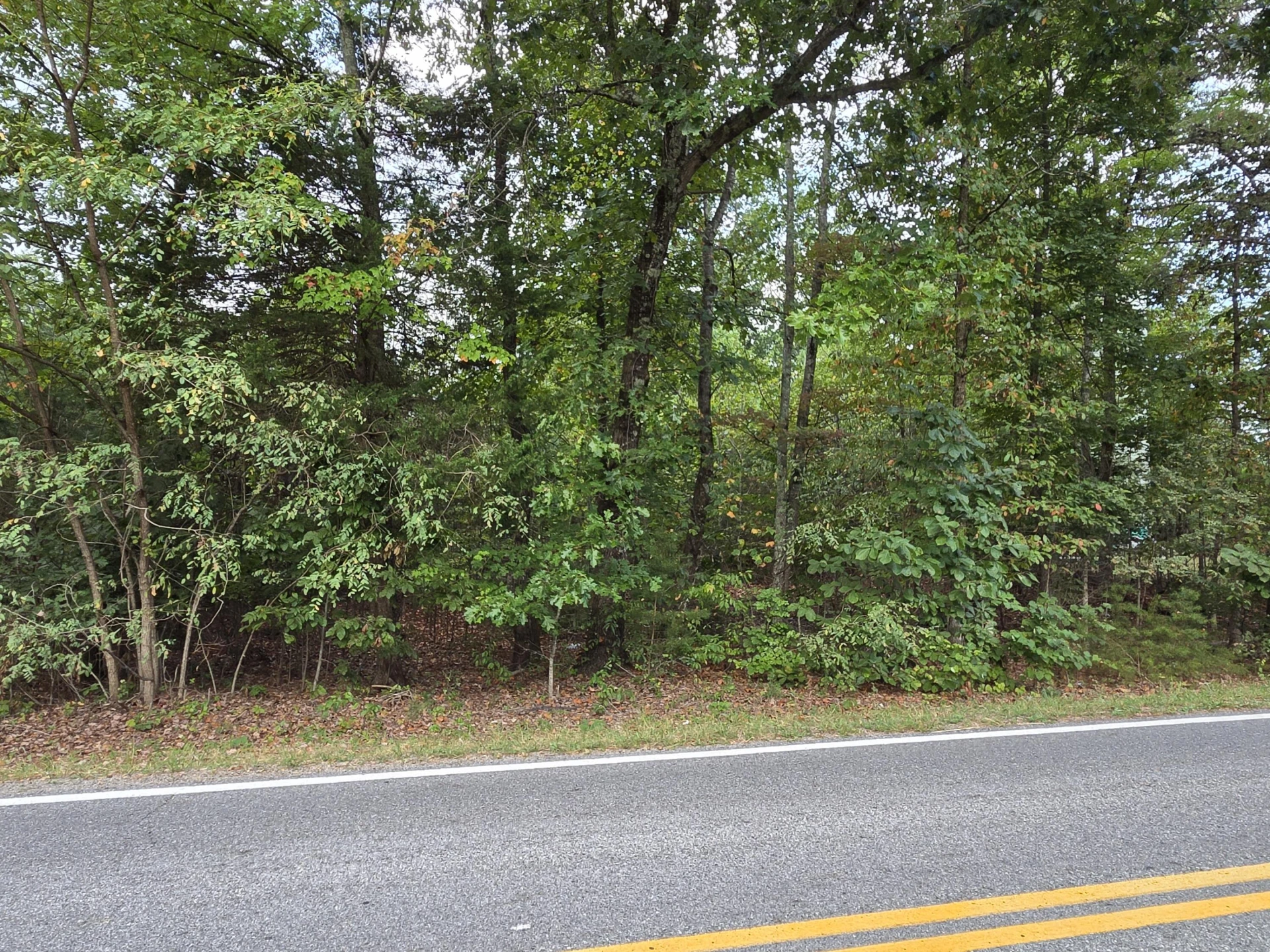 Tract 3 Edwardsville RD - Photo 7