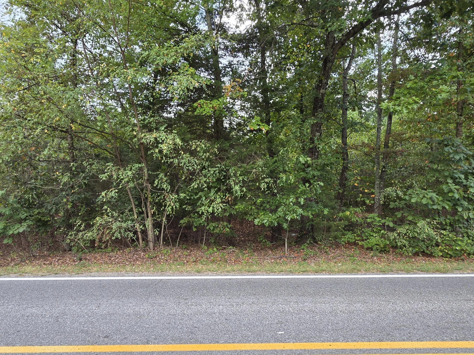 Tract 3 Edwardsville RD - Photo 8
