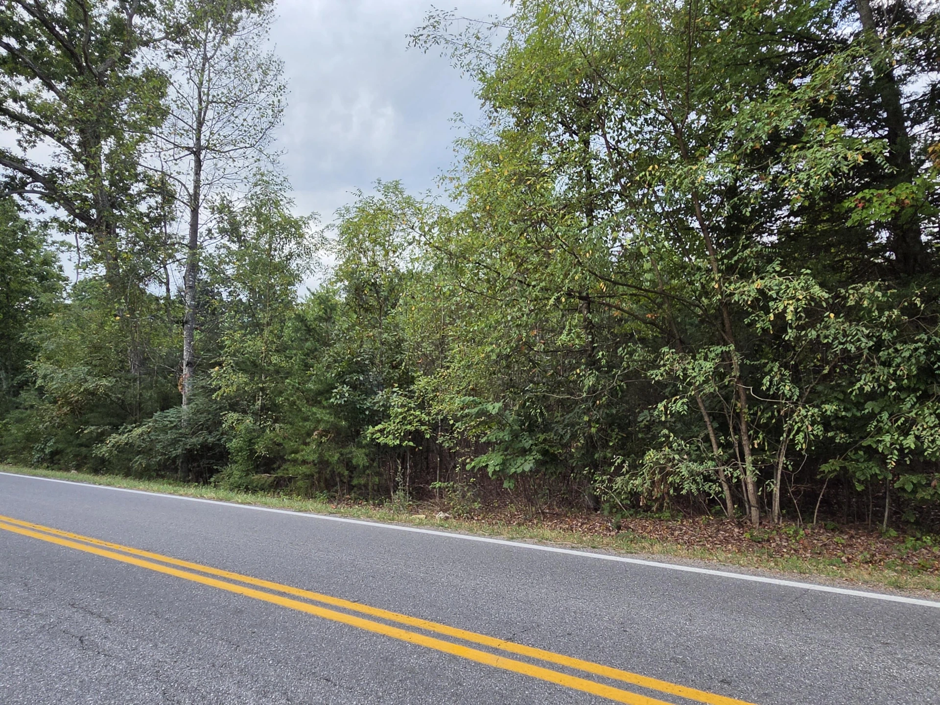 Tract 3 Edwardsville RD - Photo 9