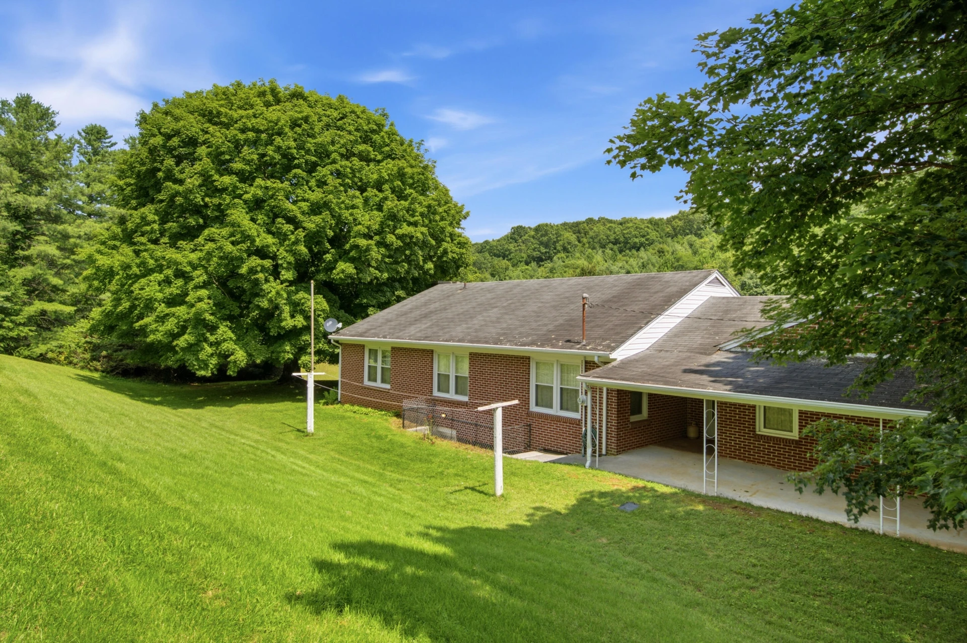 117 White Pine LN - Photo 42
