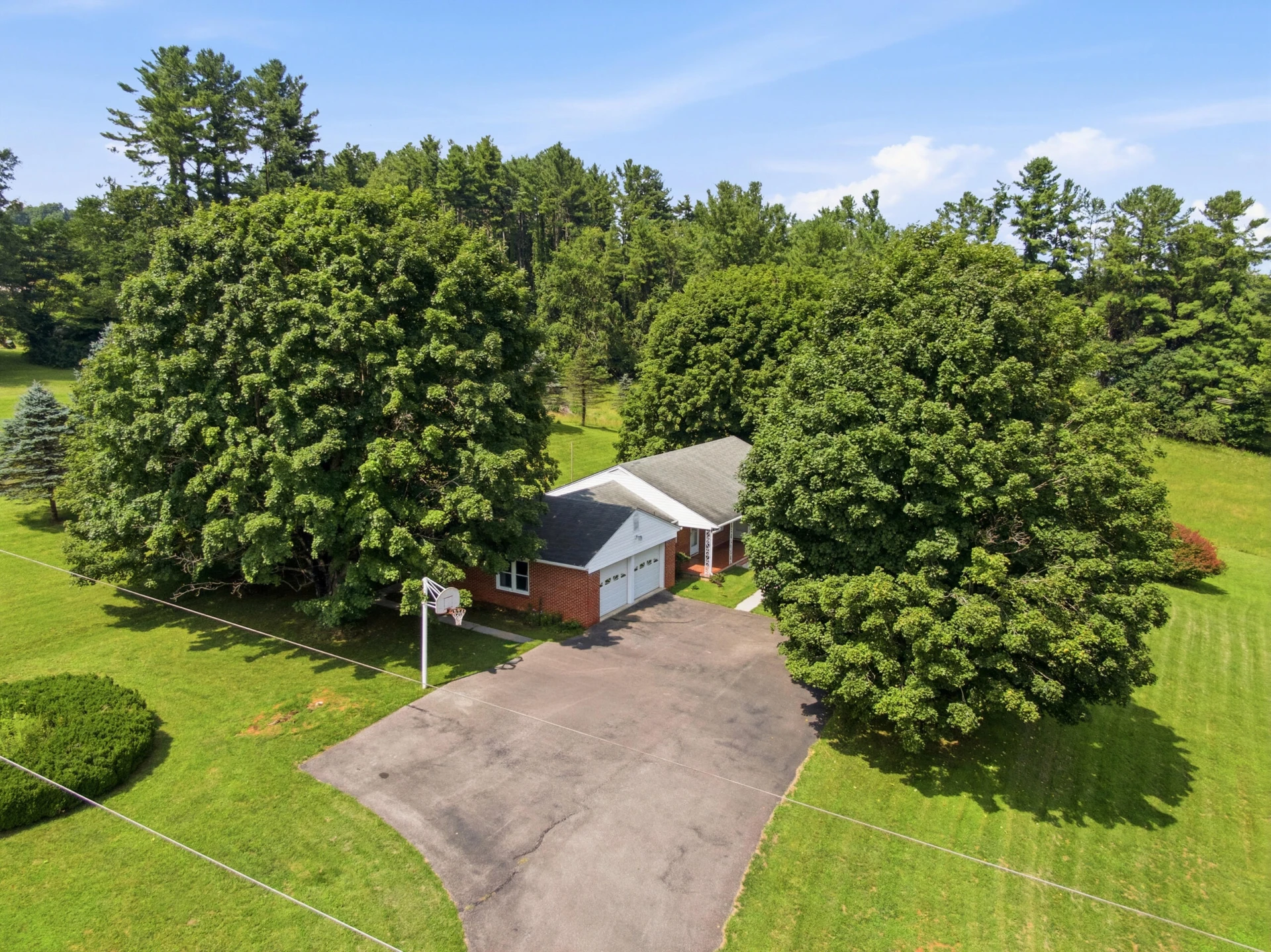 117 White Pine LN - Photo 54