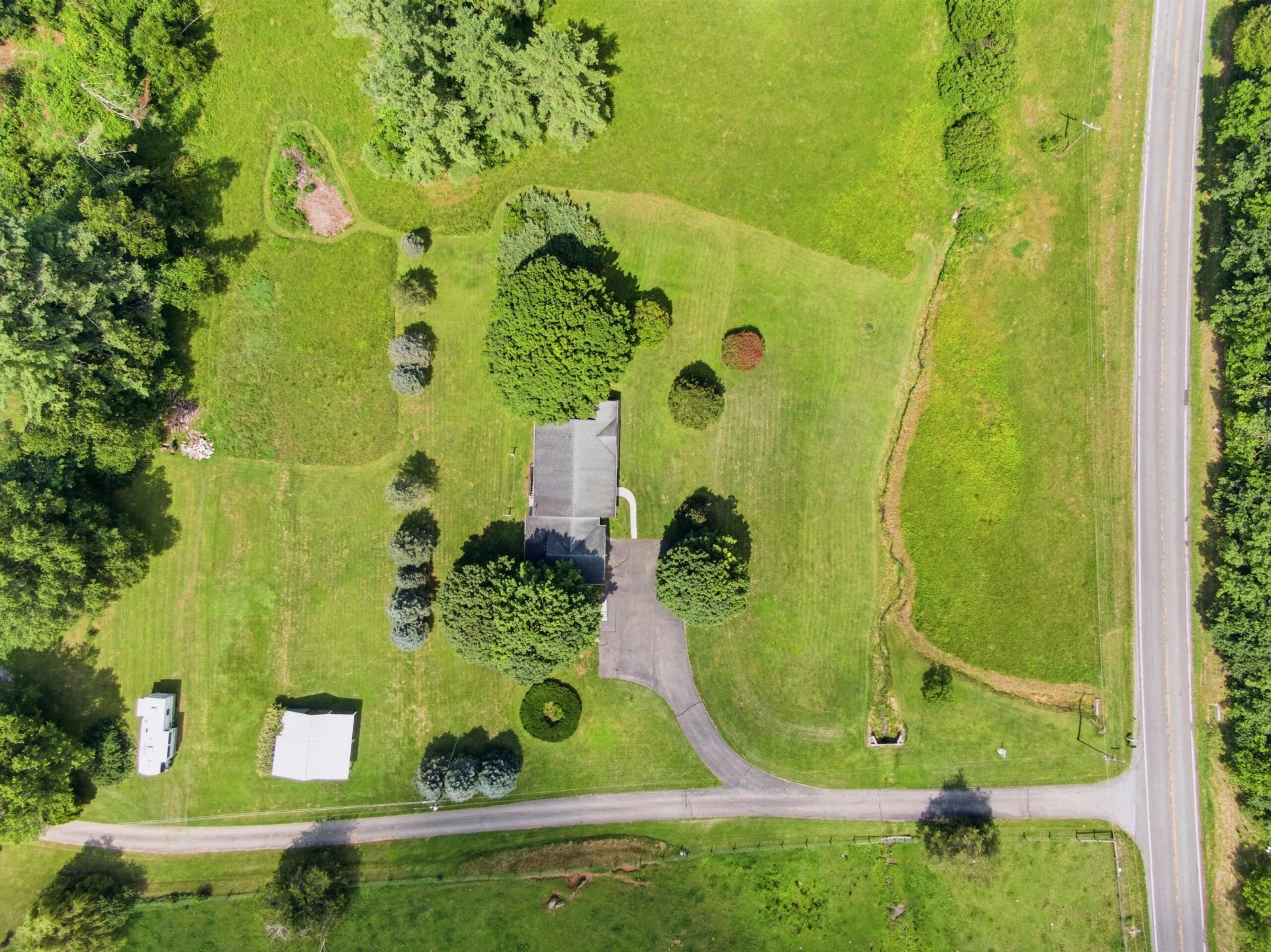 117 White Pine LN - Photo 65