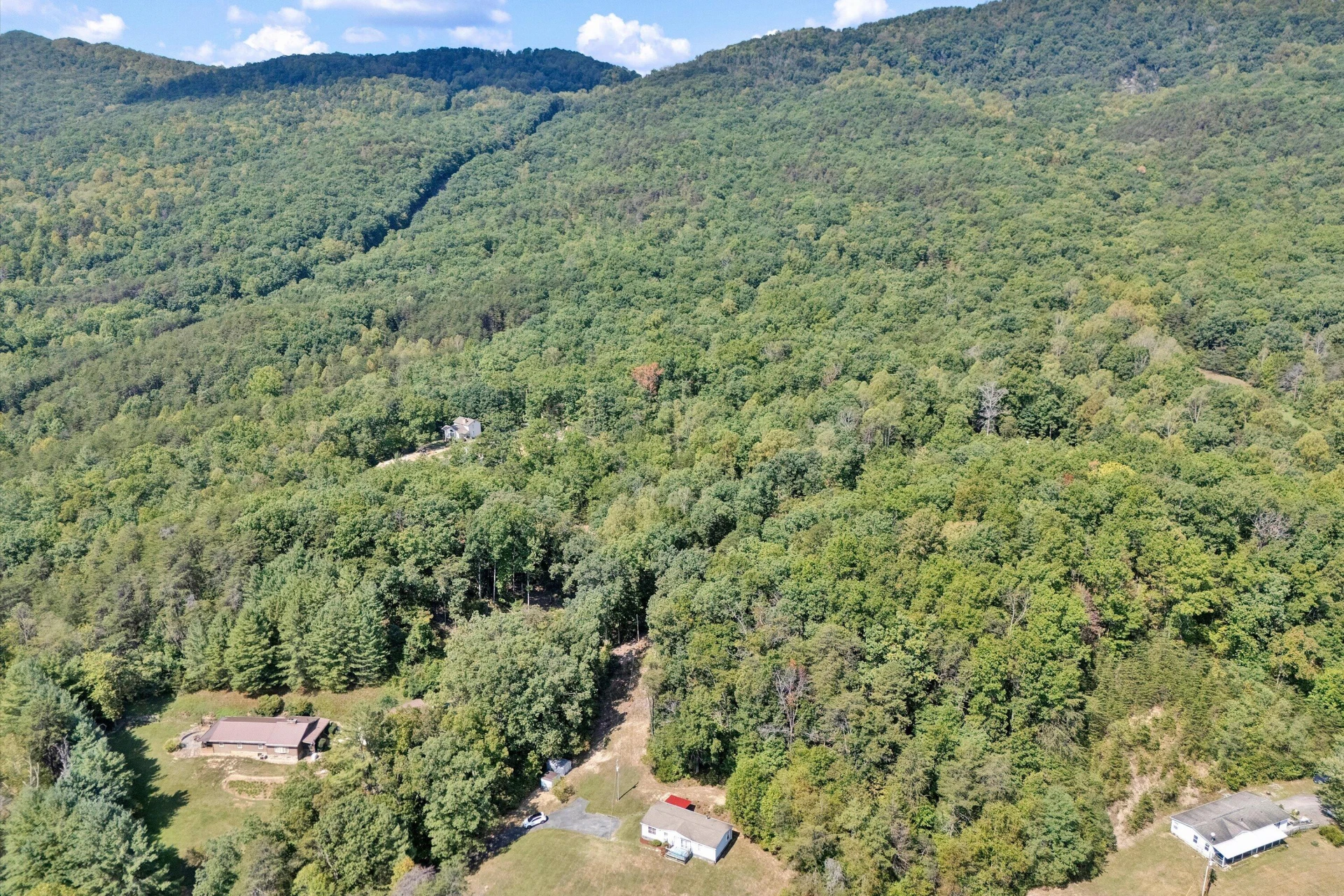 8115 Bradshaw RD - Photo 6
