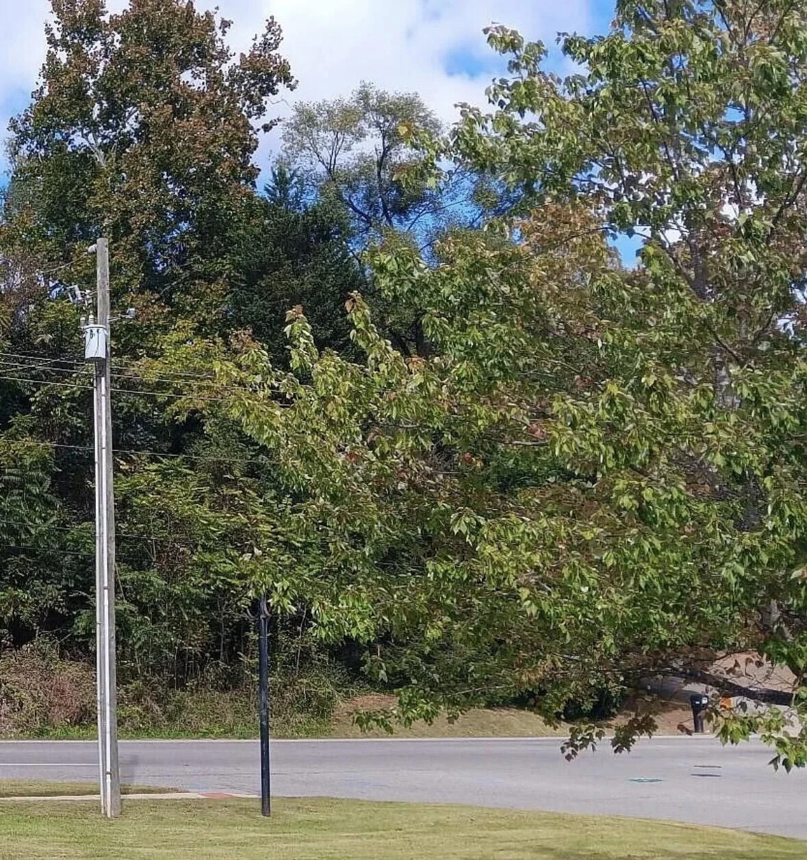 0 Brandon AVE SW - Photo 2