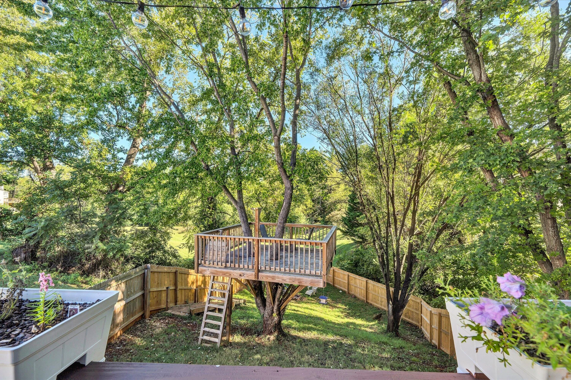 6011 Carolina TRL - Photo 51