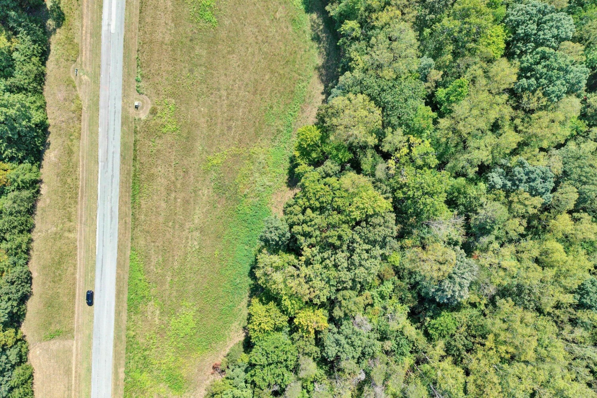 Lot 21 Camellia PL - Photo 6