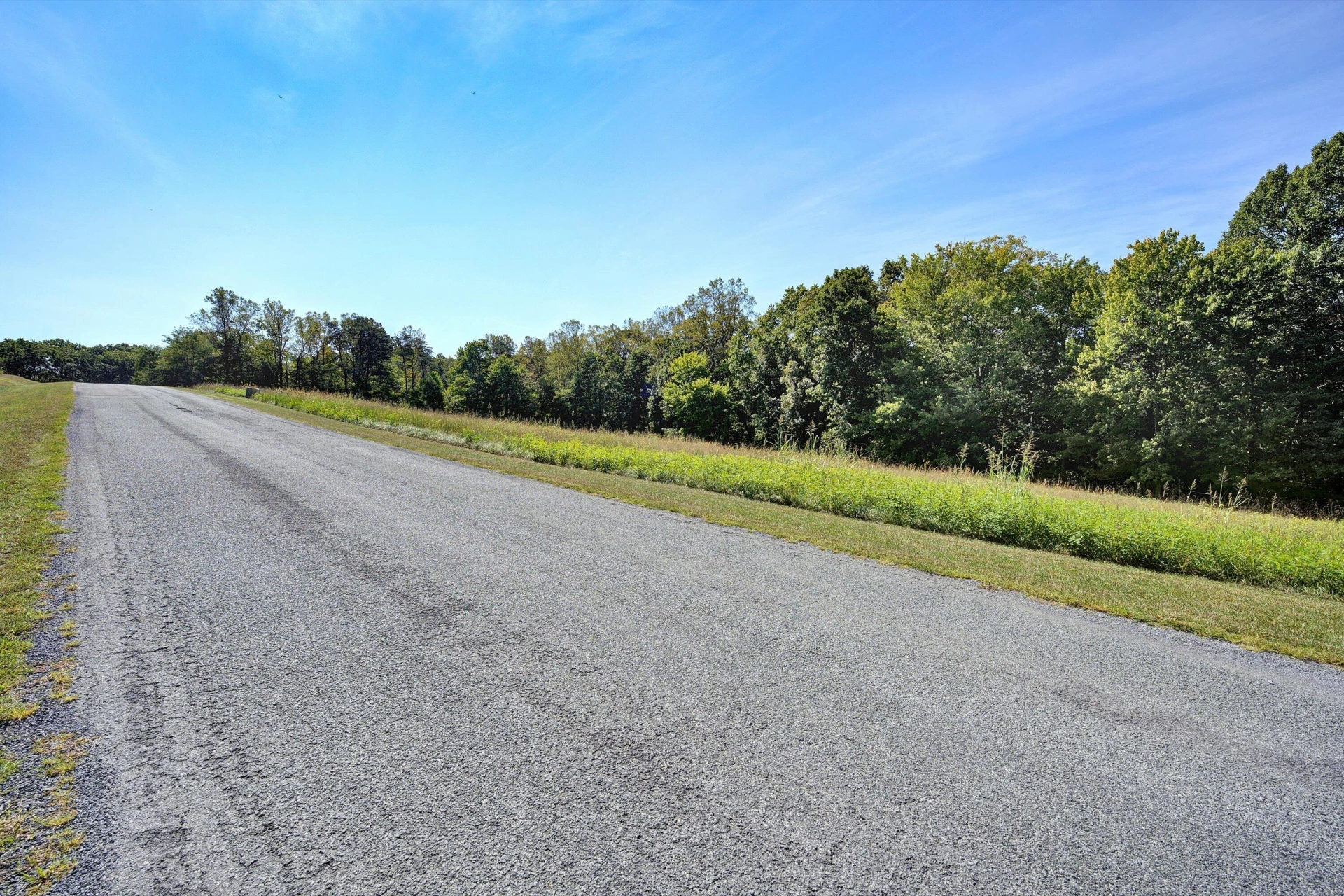 Lot 21 Camellia PL - Photo 15