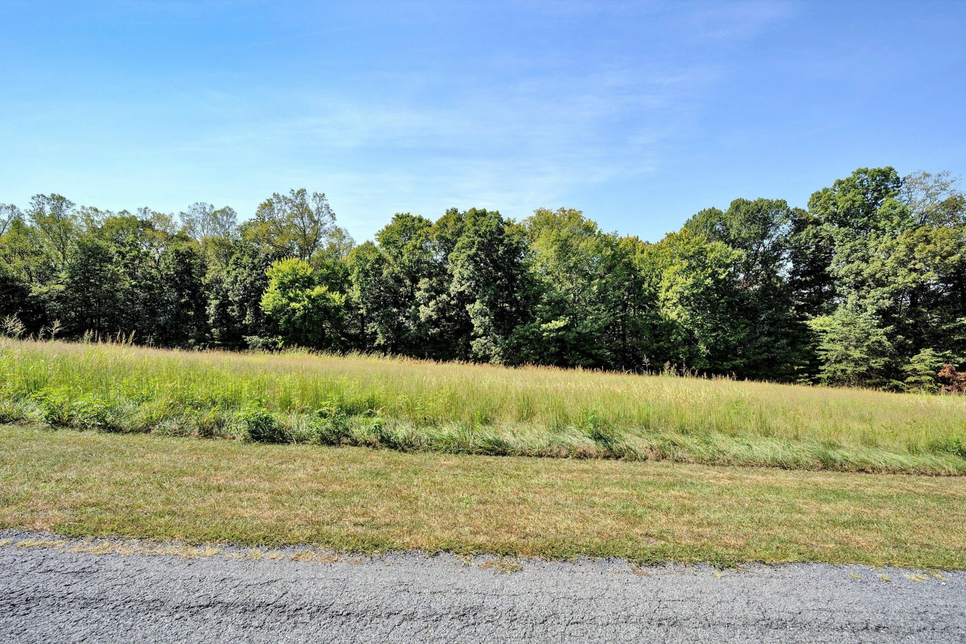 Lot 21 Camellia PL - Photo 16