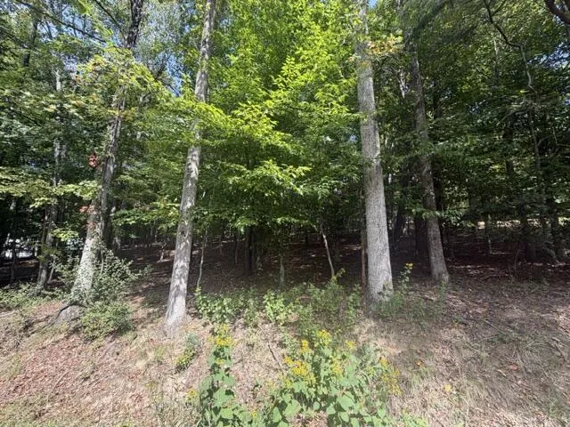0 Tinker Mill RD, Daleville, VA, 24083