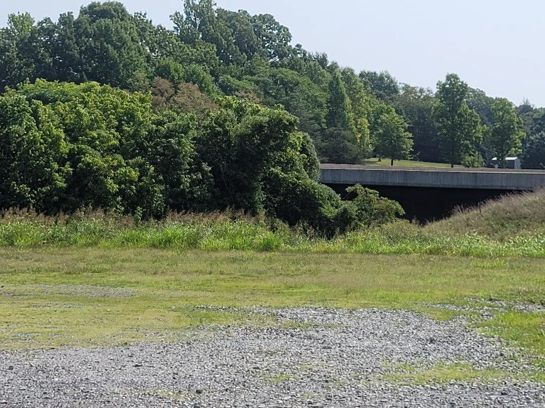 5704 Altice RD - Photo 4