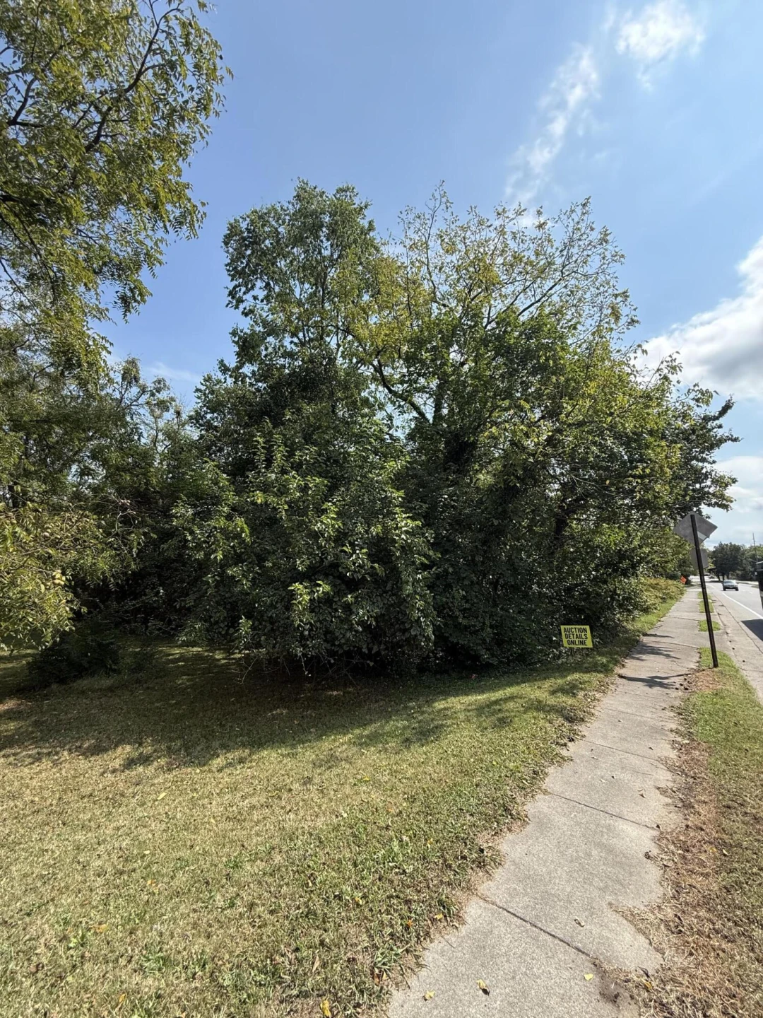 0 13th ST SE - Photo 4