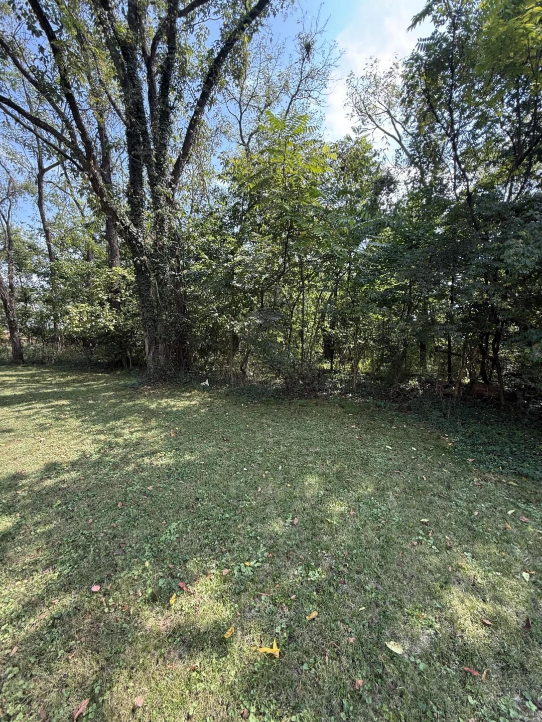0 13th ST SE - Photo 5