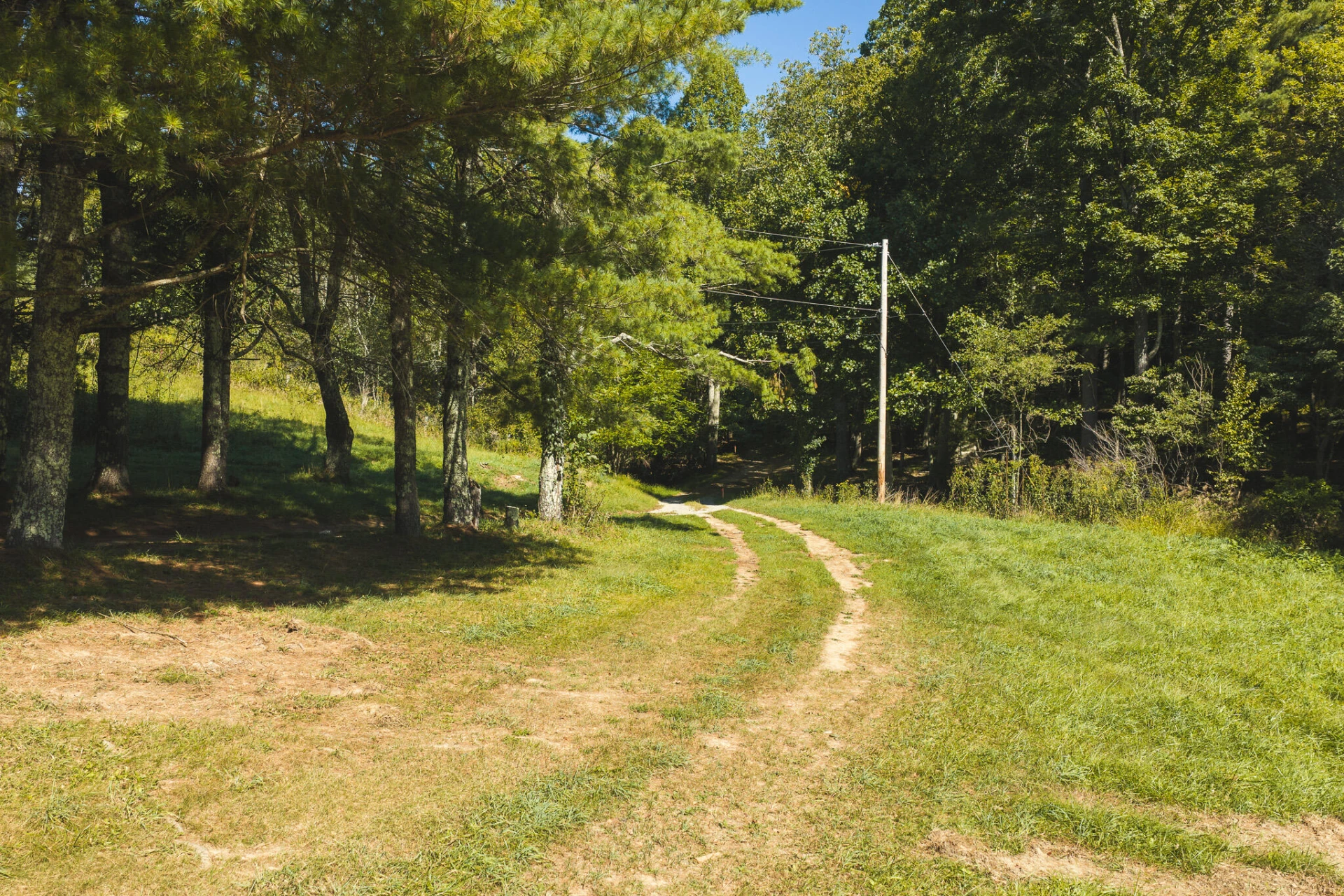 10568 Bottom Creek RD - Photo 2