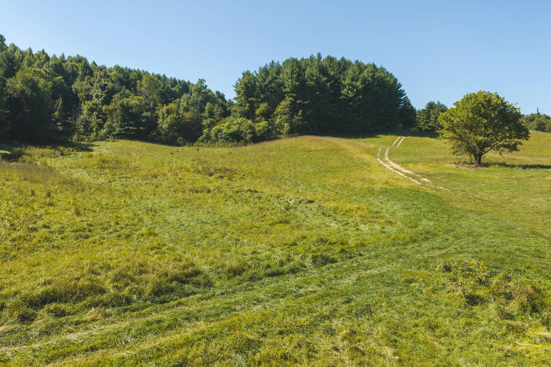 10568 Bottom Creek RD - Photo 3