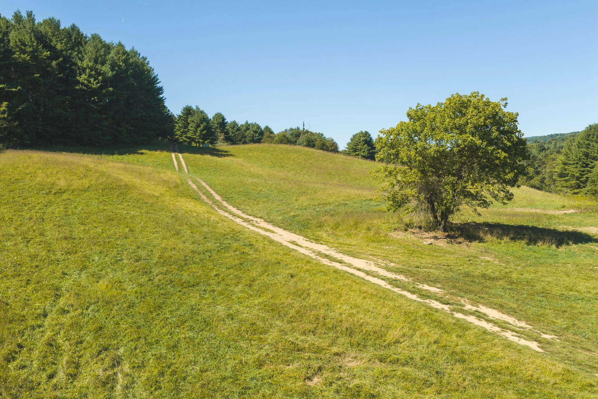 10568 Bottom Creek RD - Photo 4