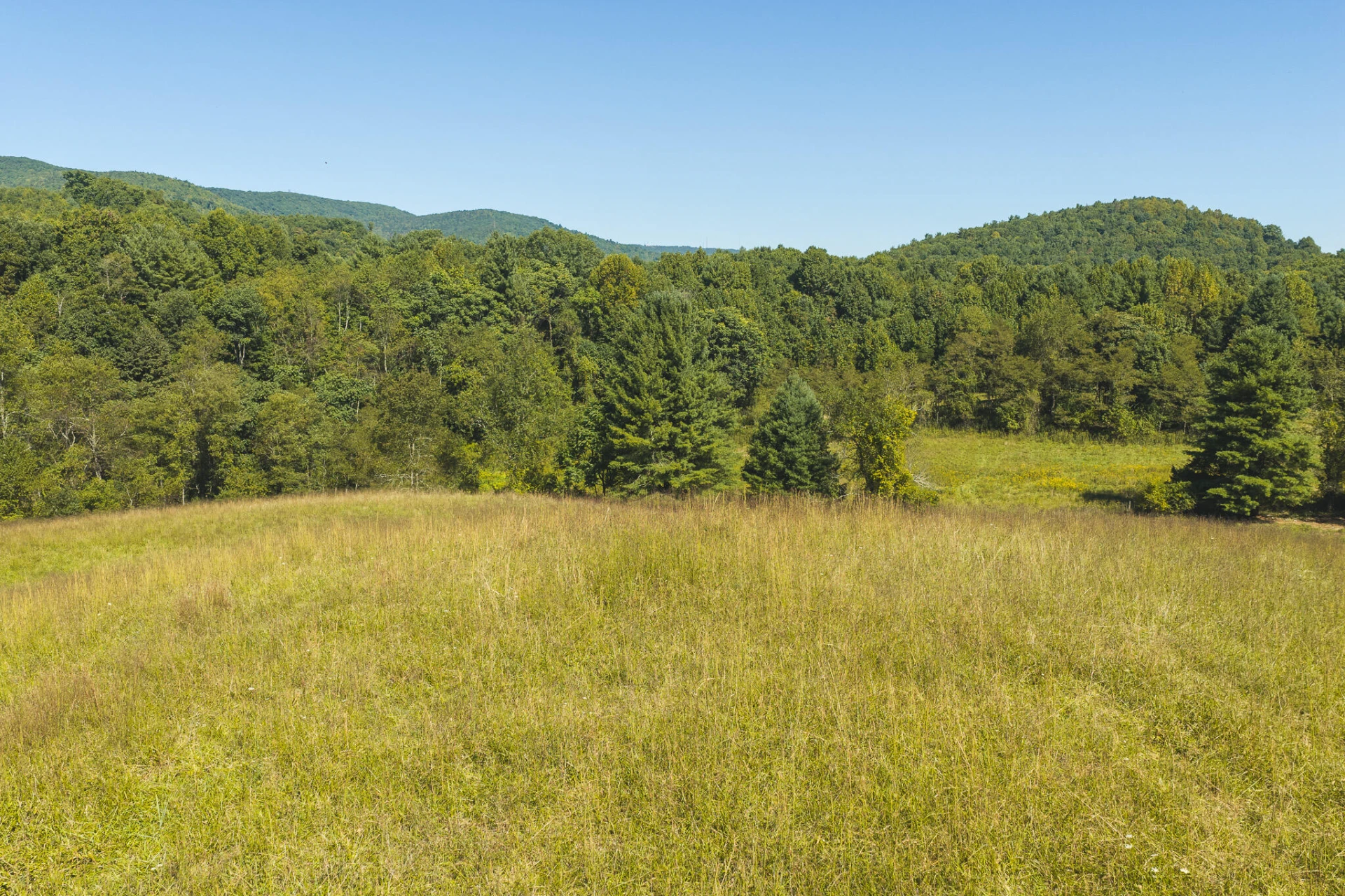 10568 Bottom Creek RD - Photo 5