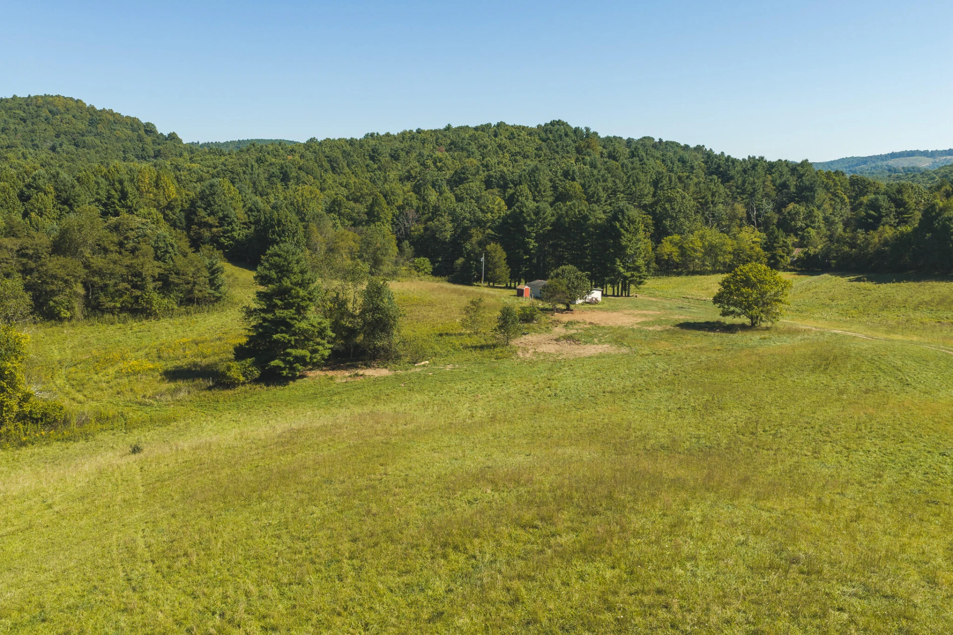 10568 Bottom Creek RD - Photo 6
