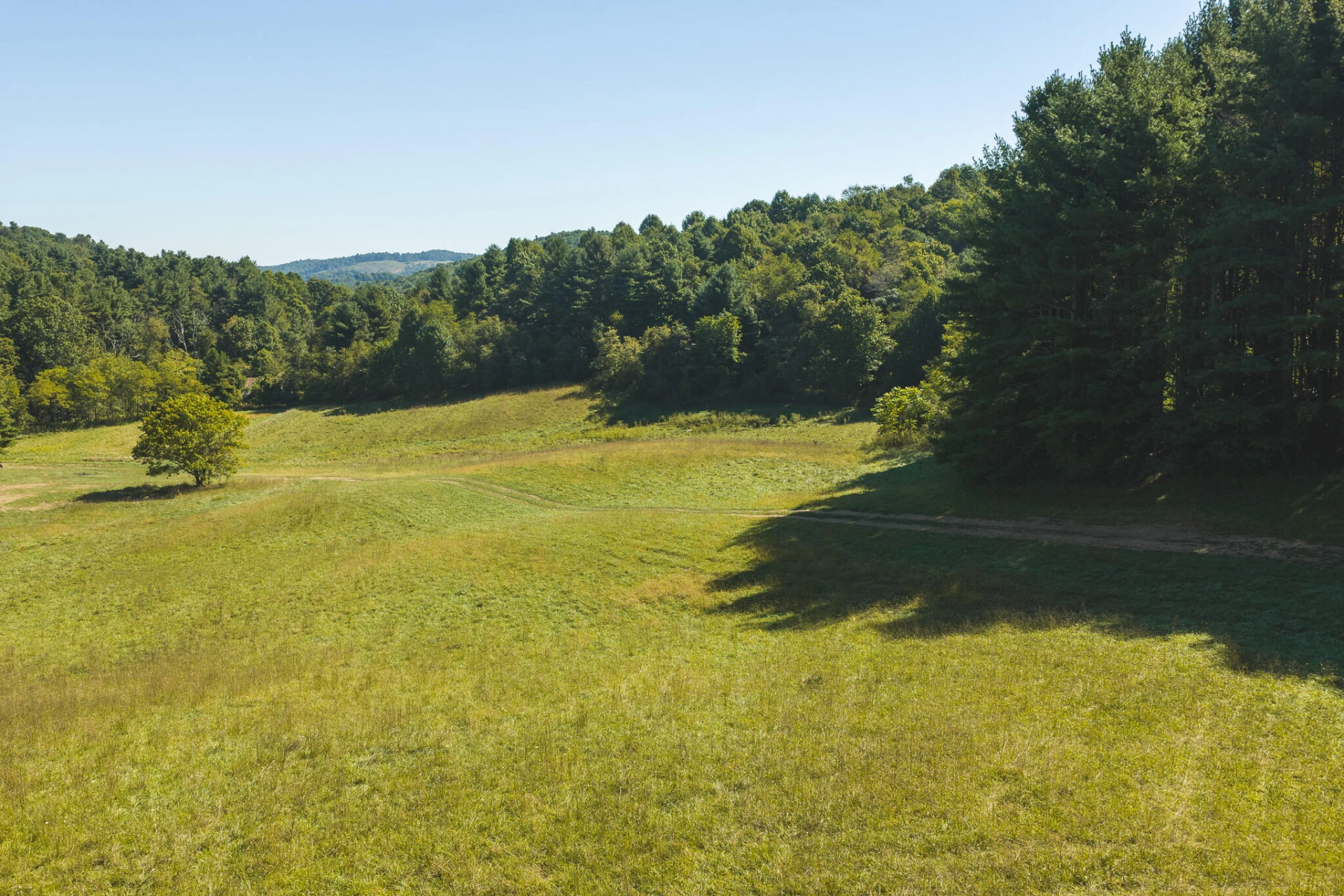 10568 Bottom Creek RD - Photo 7