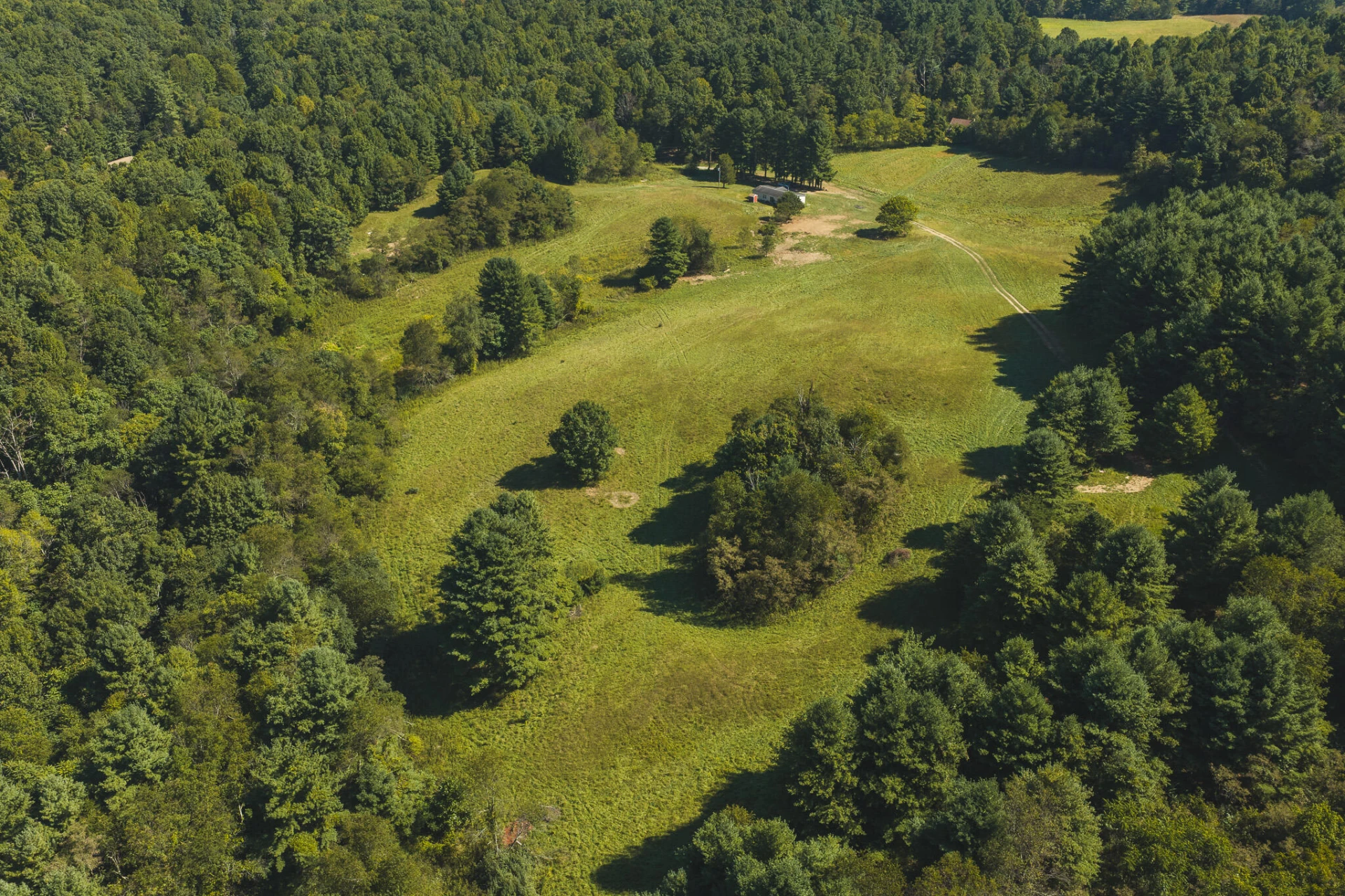 10568 Bottom Creek RD - Photo 9