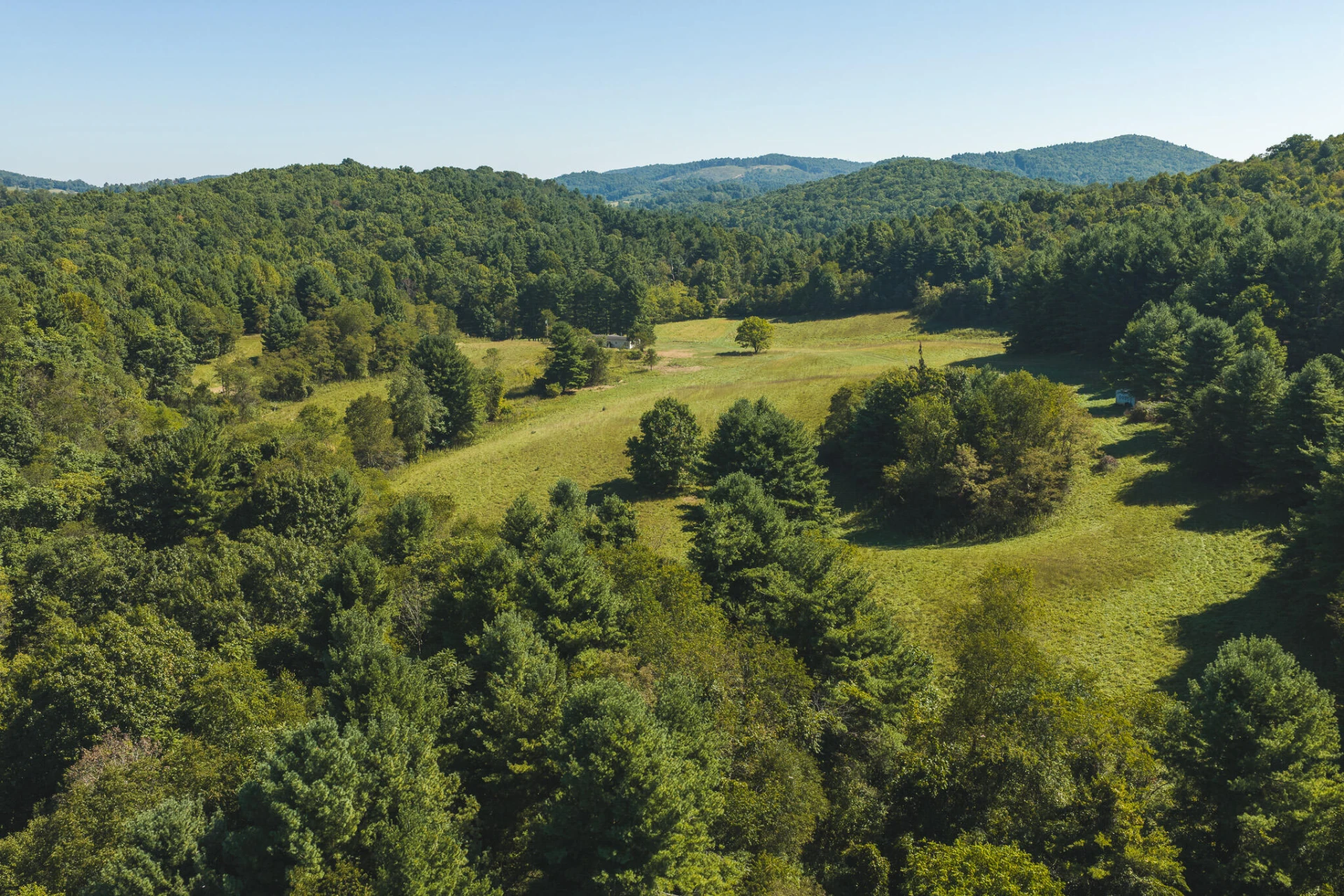 10568 Bottom Creek RD - Photo 11