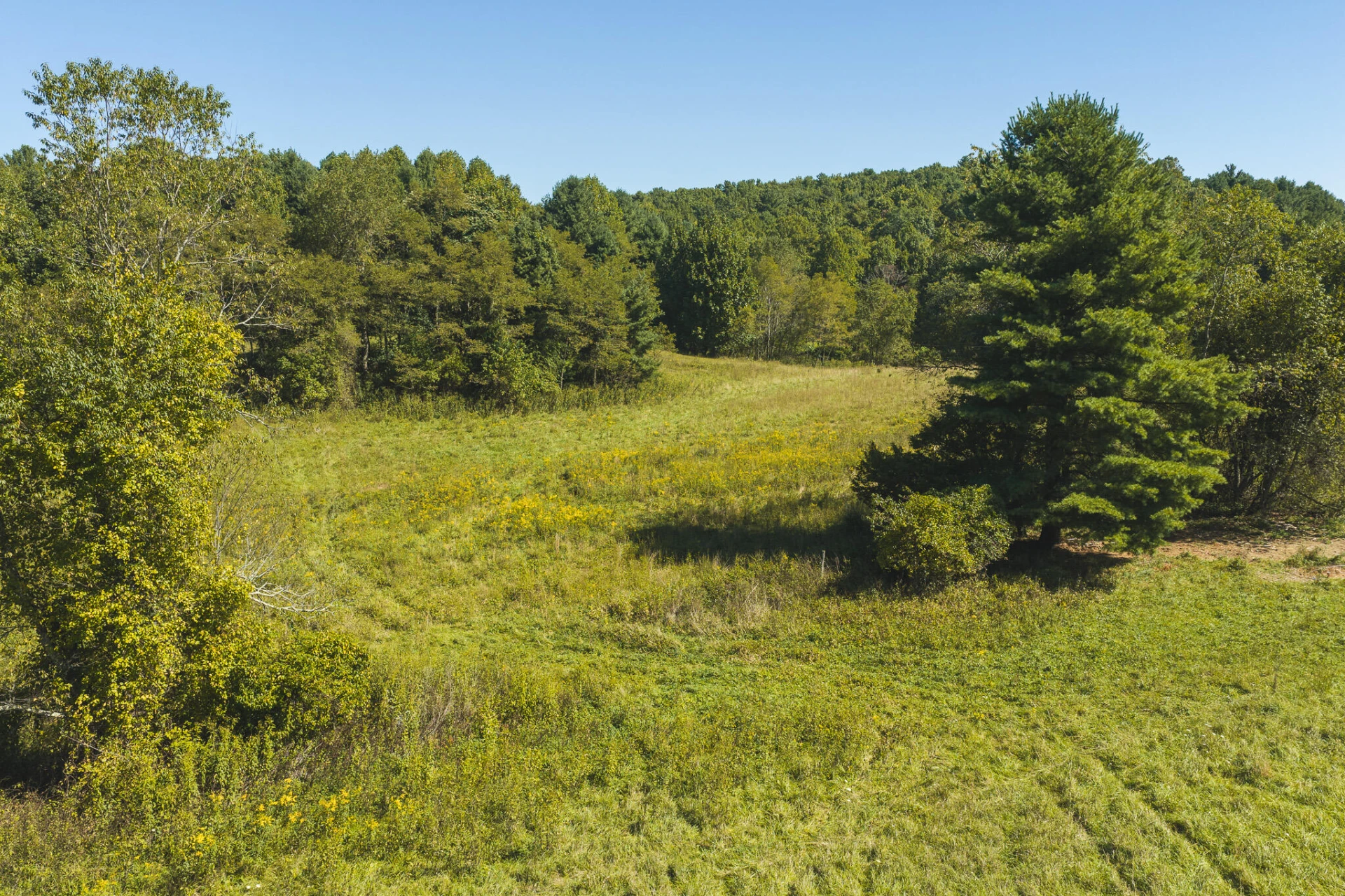 10568 Bottom Creek RD - Photo 12