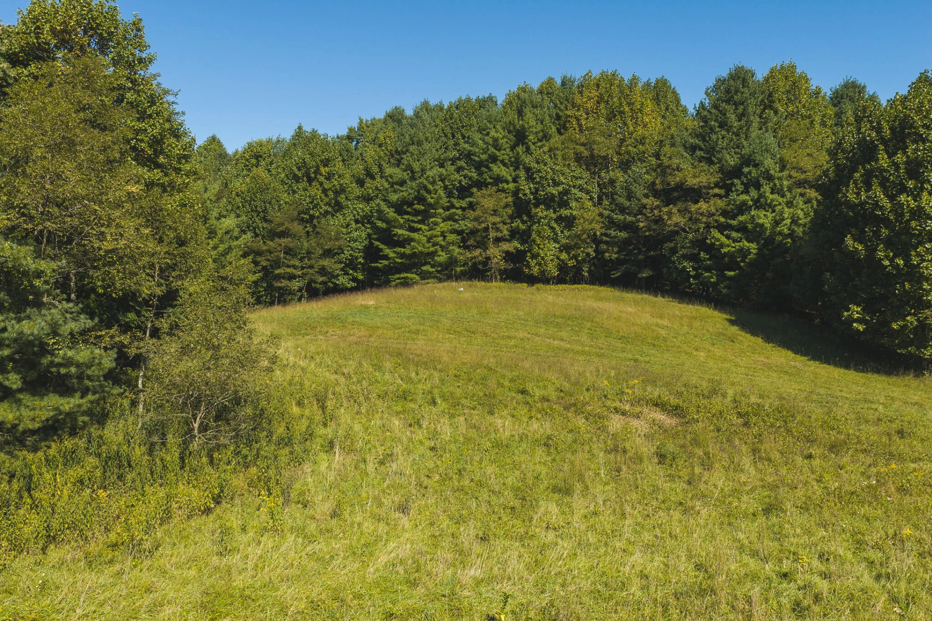 10568 Bottom Creek RD - Photo 13