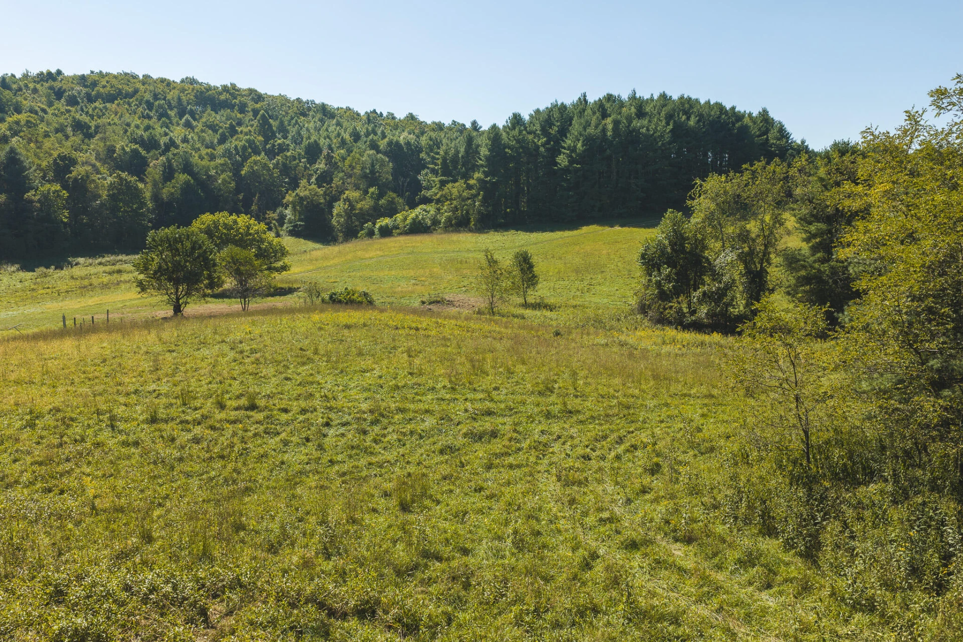 10568 Bottom Creek RD - Photo 14