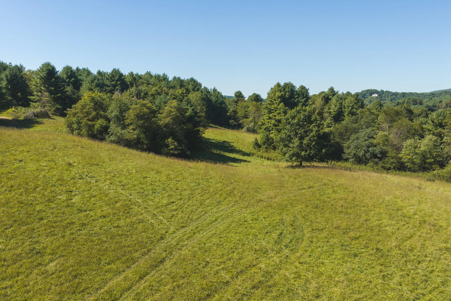 10568 Bottom Creek RD - Photo 15