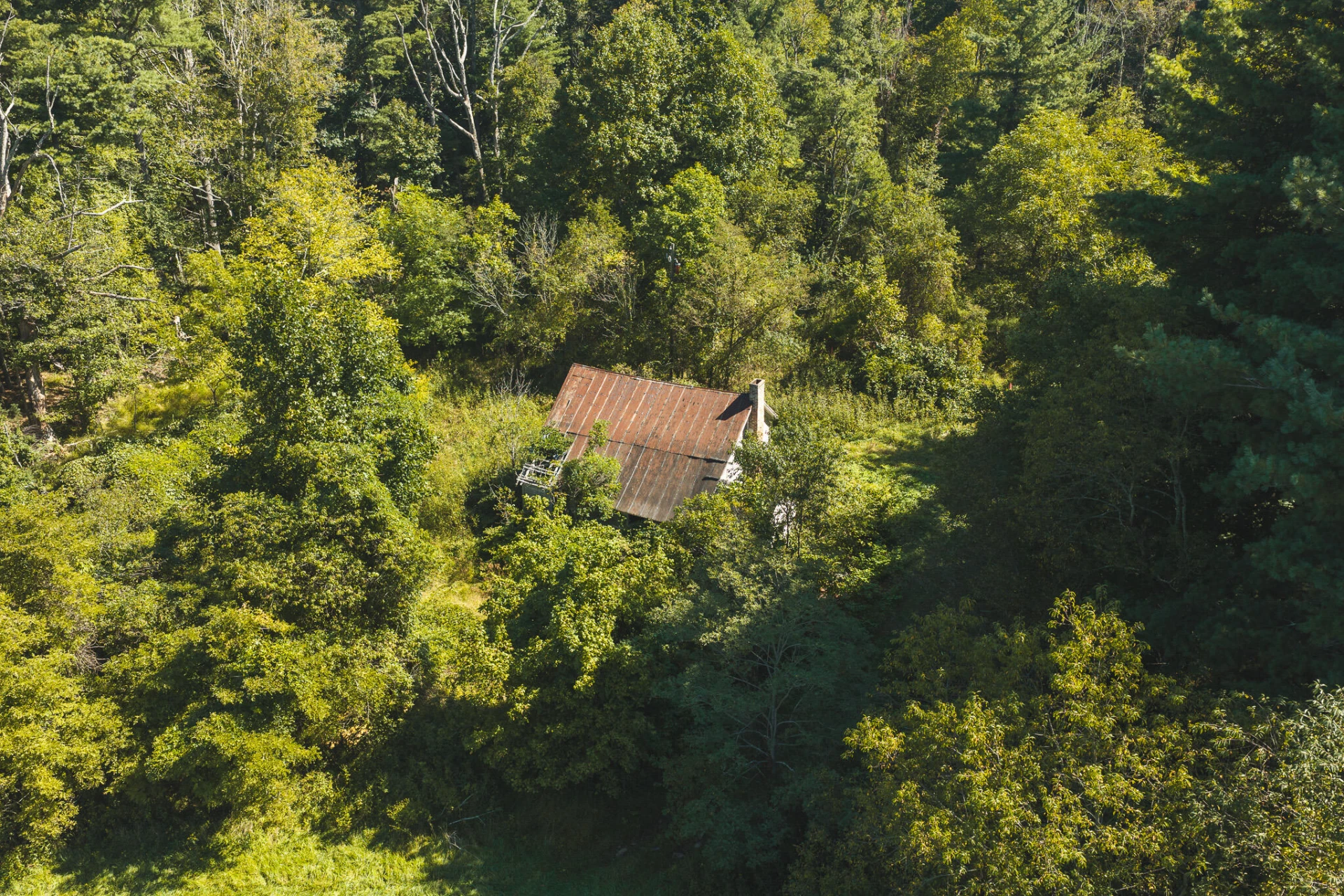 10568 Bottom Creek RD - Photo 16
