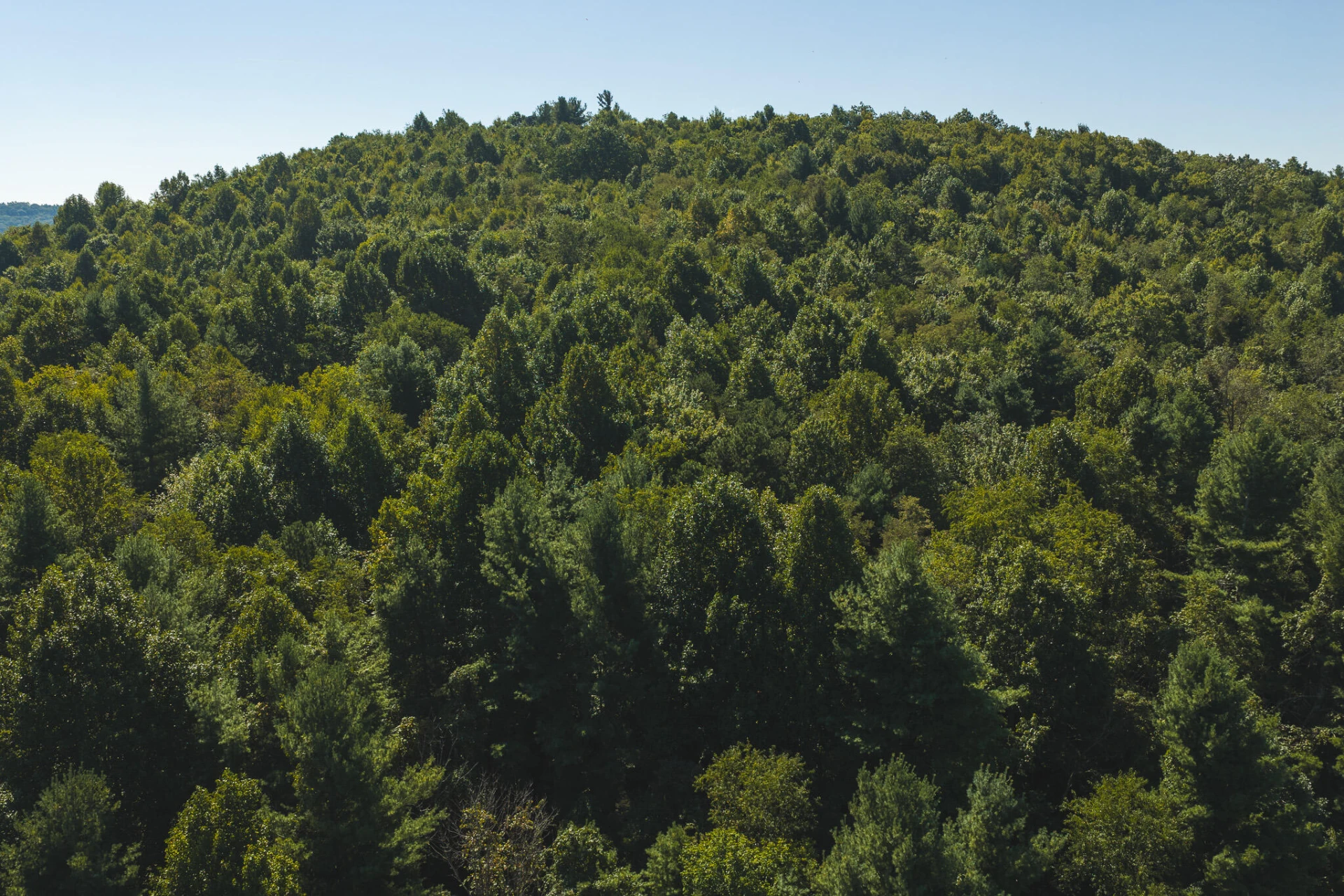10568 Bottom Creek RD - Photo 17