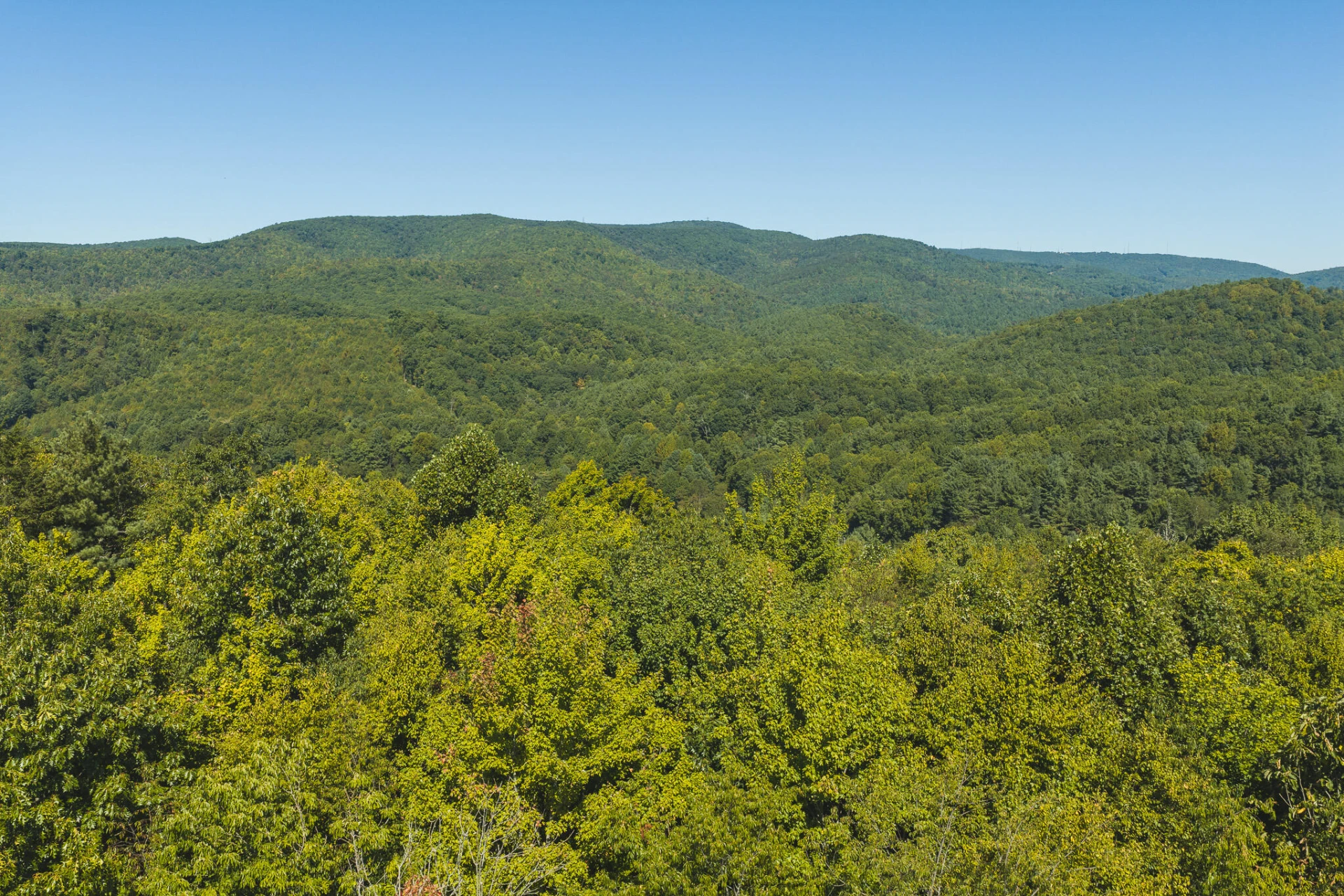 10568 Bottom Creek RD - Photo 19