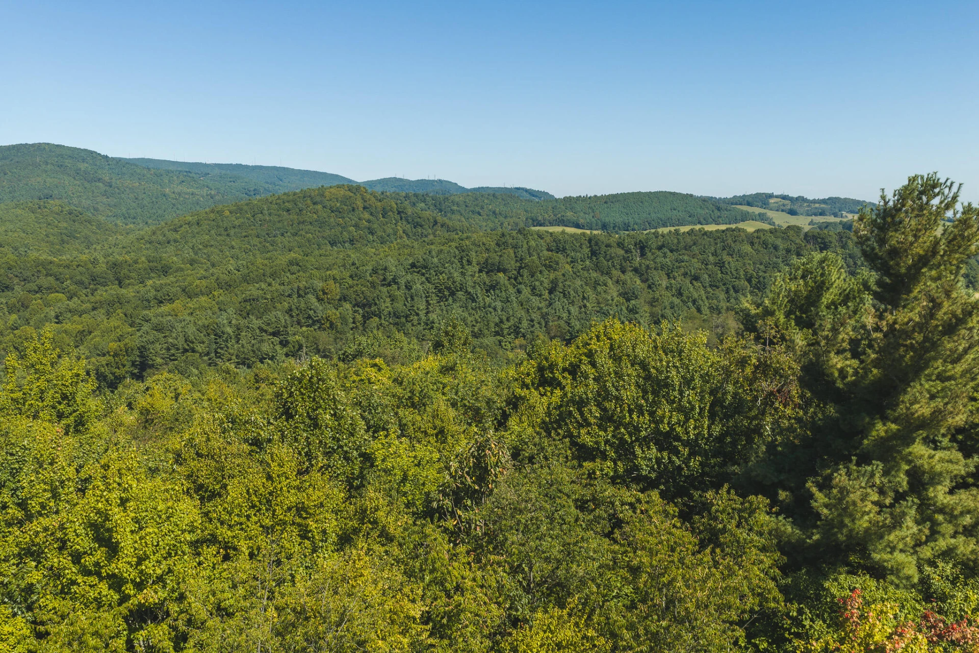 10568 Bottom Creek RD - Photo 20