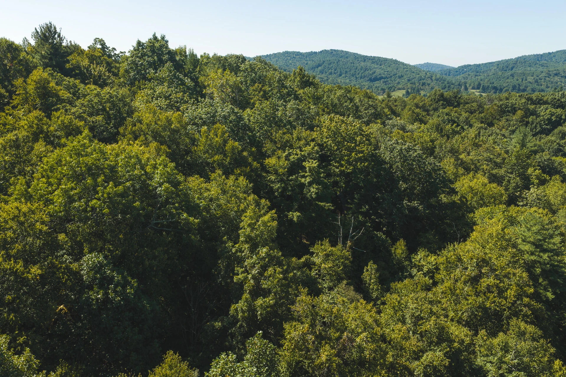 10568 Bottom Creek RD - Photo 21
