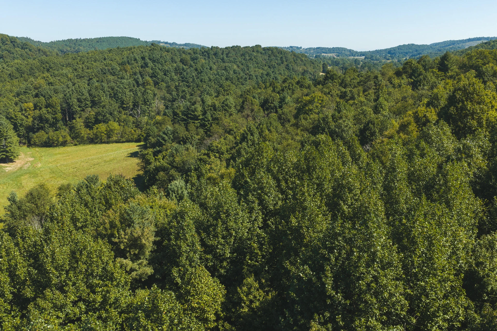 10568 Bottom Creek RD - Photo 22